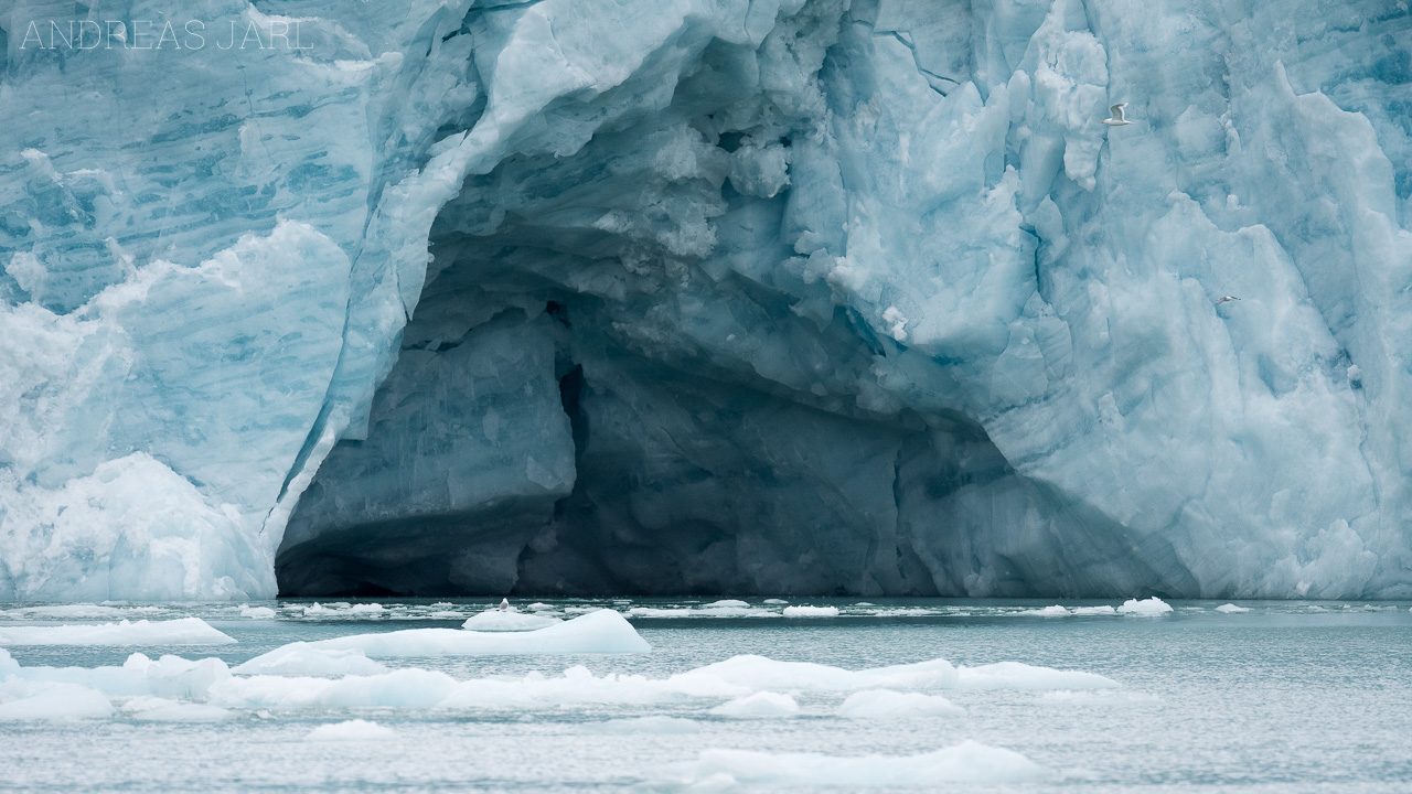 svalbard_lilliehöökbreen_4066