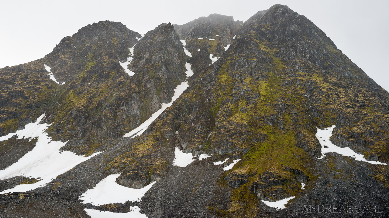 svalbard_magdalenefjord_4077