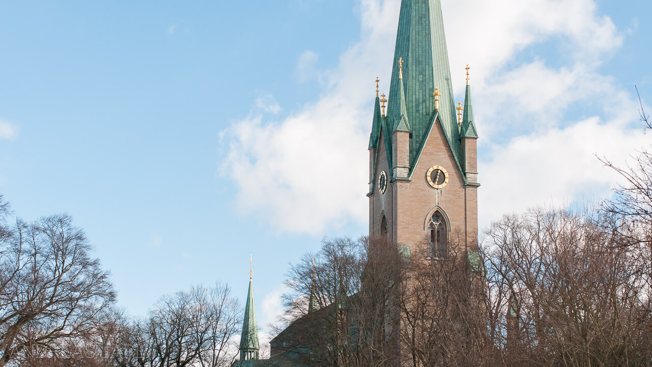 linkoping_domkyrka_279