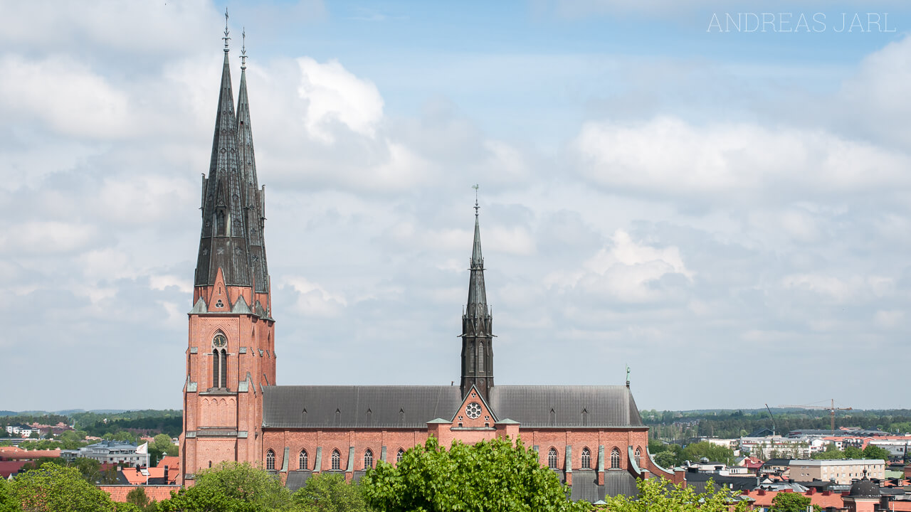 uppsala_domkyrka_455