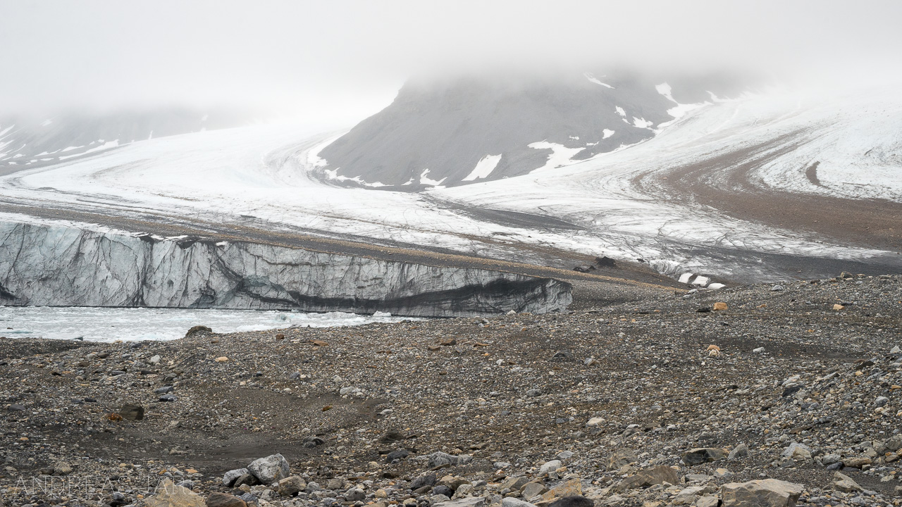 svalbard_dahlbrebukta_4046