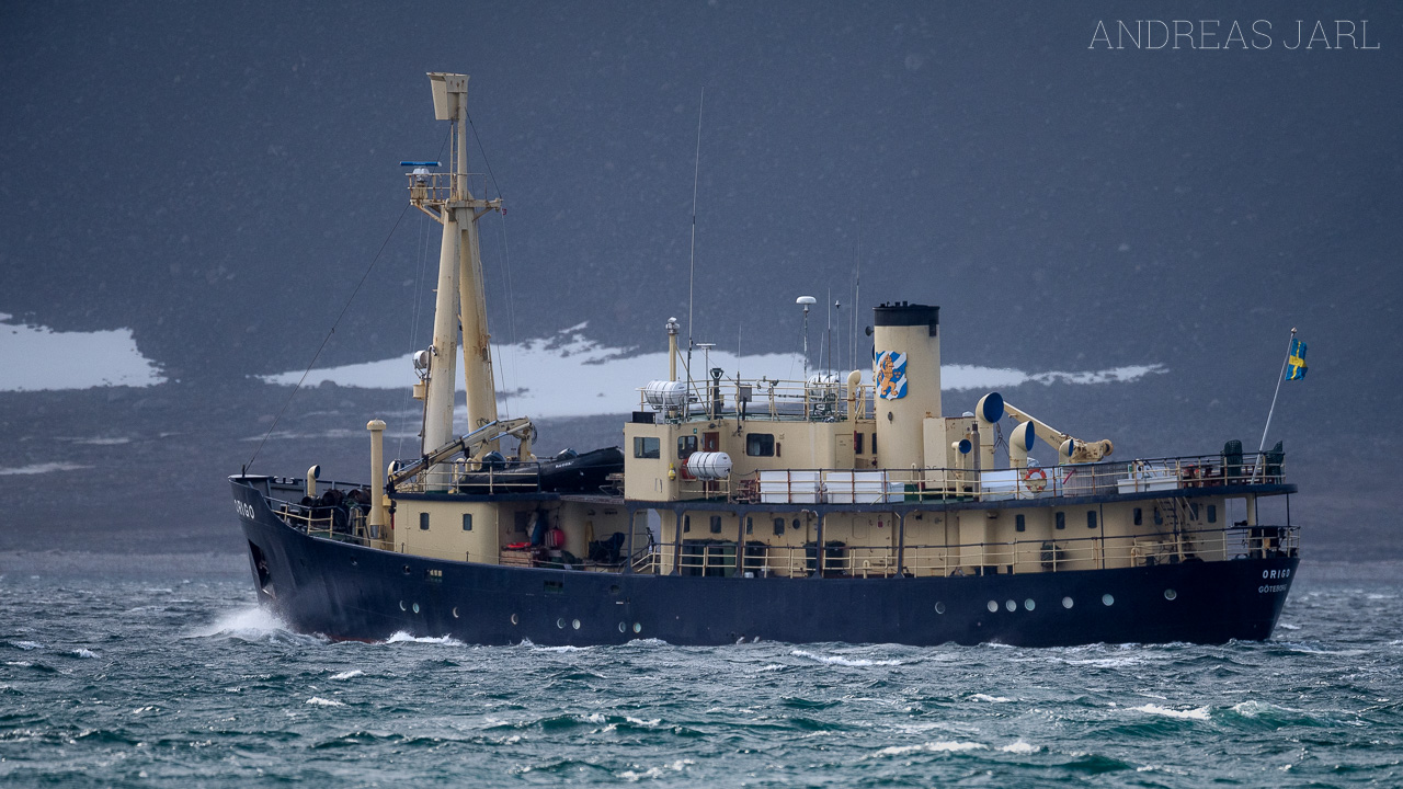 svalbard_ms_origo_4104