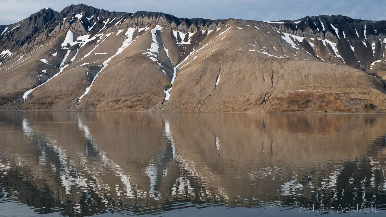 svalbard_trygghamna_4056